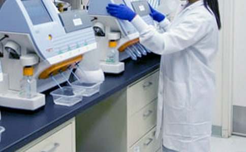 ������������鹤���ƻ�