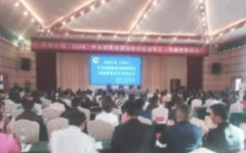 ������ʽ������