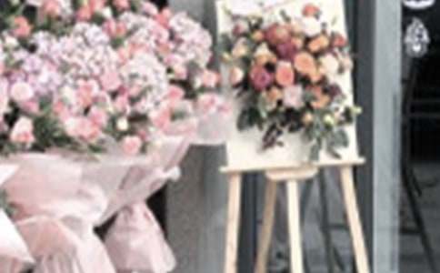 ��ҵ�����ƻ�10ƪ