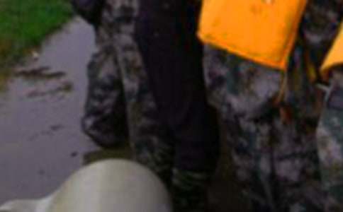 ������ֹ����ܽ�11ƪ