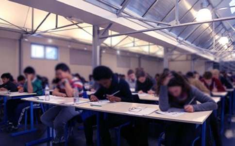 ���ſ��Եĳ�ŵ��