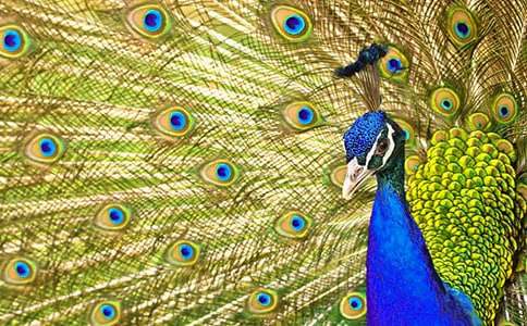 ��ȸ���Ϸɽ�ѧ���