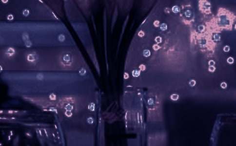 ������������˵˵��¼����80�侫ѡ