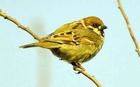 ������ȸ��һ��ʱ��ѧ��˼���ģ���ѡ12ƪ��