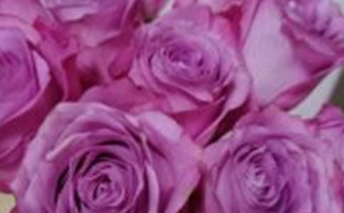 二年级《小鹿的玫瑰花》教学设计优秀