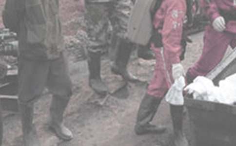 ú��ȫ��֤��ͨ��15ƪ