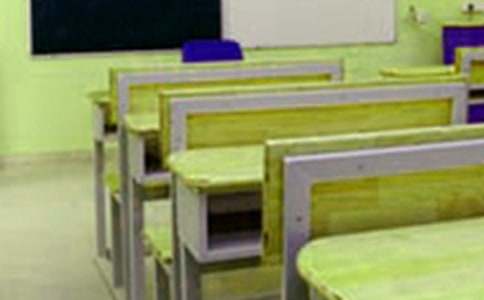 ��ĸУ�ݽ���