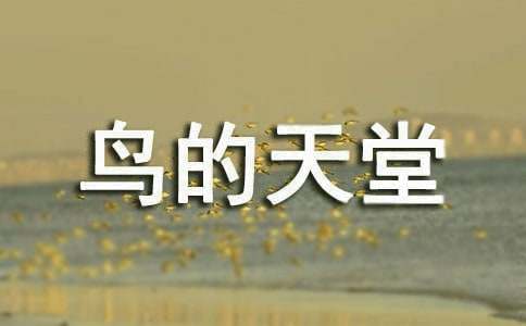 ��������á���ѧ��˼