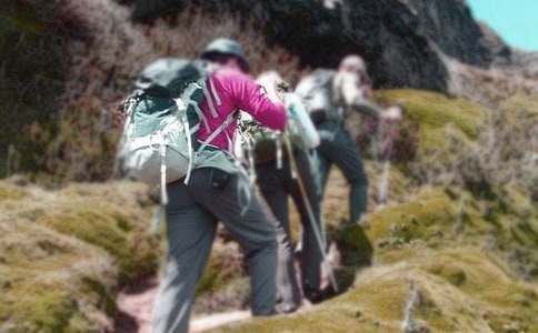 爬山虎的脚教学反思【必备15篇】