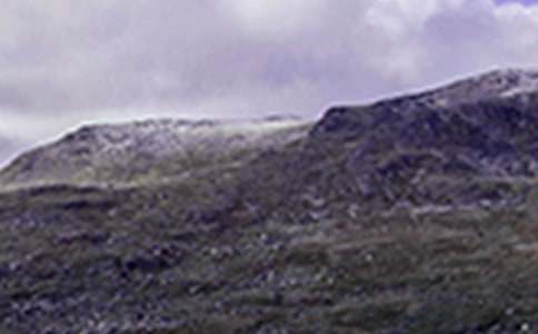 《爬山虎的脚》说课稿19篇