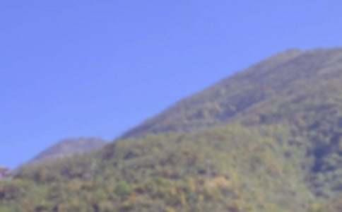 《爬山虎的脚》说课稿