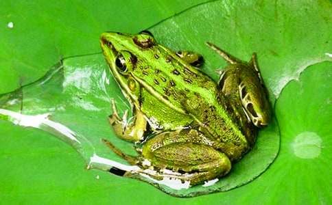 ����дʫ��ѧ��˼