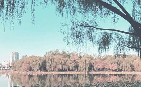 秋季学期工作计划