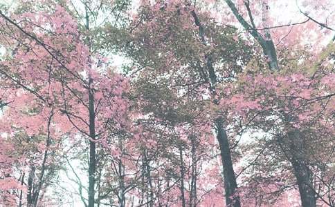 �＾���ף����