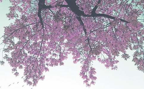 С���＾ѧ�ڹ����ƻ�����ѡ15ƪ��