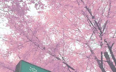 秋季卫生保健工作计划