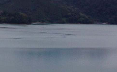 ���ġ�����̶����ѧ��˼