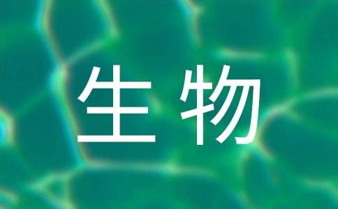 八年级生物上册教学计划锦集15篇