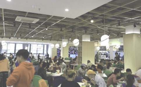 ʳ�ù����ƻ�(13ƪ)