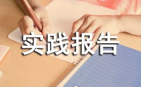 暑期物流专业实践报告