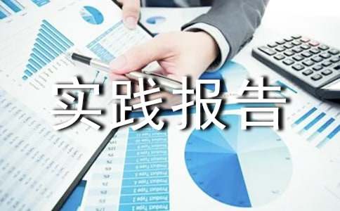 高中社会实践报告(优)