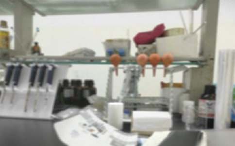 学校物理实验室教学计划