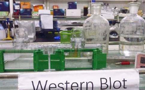 ʵ�������չ����ܽ�