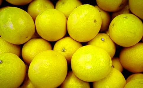 水果收购合同范本