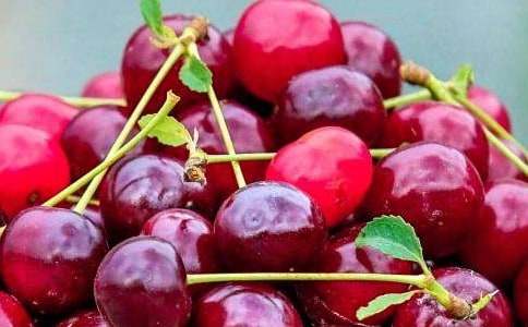 �а��ѧ�������ʶˮ����ˮ����