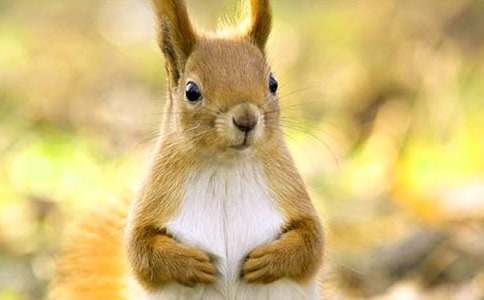 С�����һ�����ѧ���13ƪ