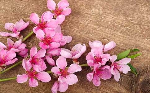 �һ���ľ��ѧ�������