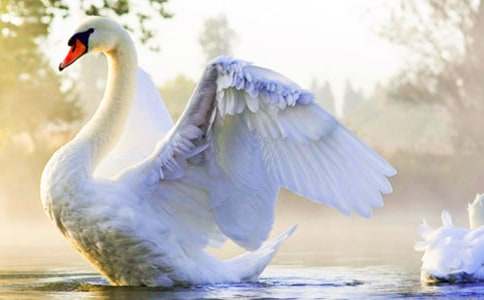 ���Ĺ��½�ѧ��˼