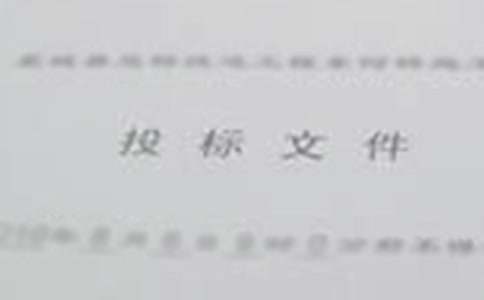 实用的投标承诺书汇编八篇