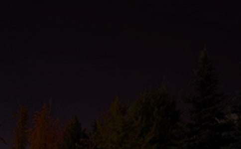 2024���̵���������¼��ϼ�98��