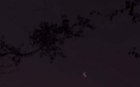 ��������Ȧ�ʺ���24��