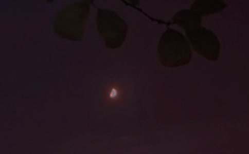 有关美好的晚安问候语短信70条