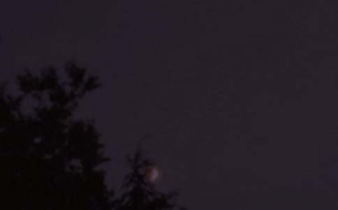 美好的晚安问候语42条