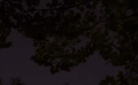 美好的晚安QQ问候语大集合72句