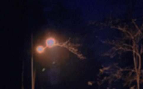 2021���̵������������ʺ�����¼����51��