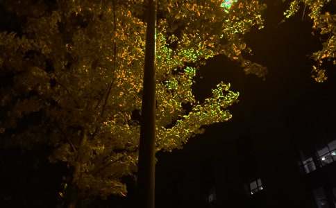 简短的美好的晚安朋友圈问候语汇编46条