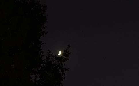 2022��ͨ��������־��¼56��