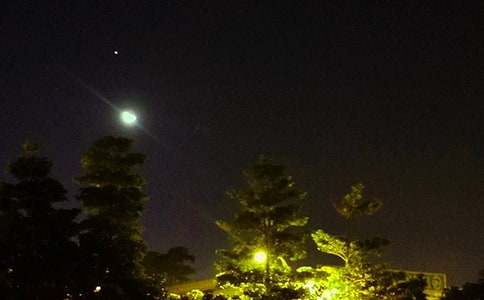 ��ѡ����ϵ�����ʺ�����Ŵ�ϼ�85��