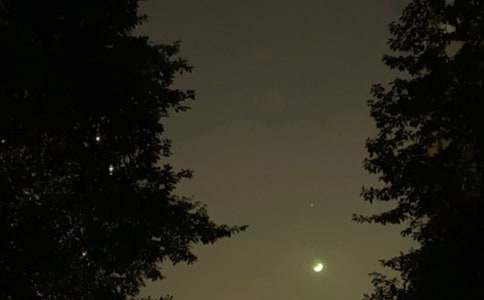 2024年简洁的温馨的晚安问候语短信汇总57条