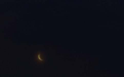 �����š�2025����ů�������ʺ�����Ž���46��