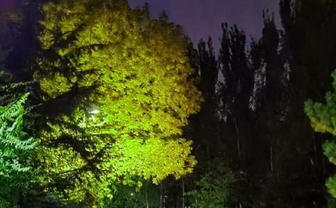 2024年简单的温暖的晚安问候语汇编70条