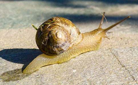 ����ţ����ѧ��˼��ͨ��16ƪ��