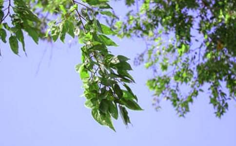 �������簲�ʺ������28��