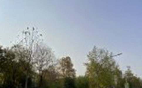 �����簲ף����100�侫ѡ