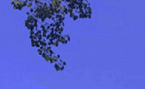 ������ܰ�簲ף�����ȫ60�侫ѡ