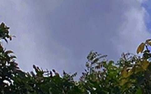 ��־�簲ף���ͨ��60�䣩